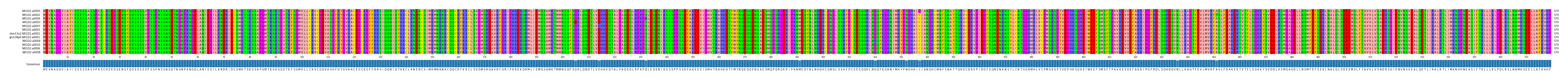 Multiple Alignments (by translate haplotype similarity)