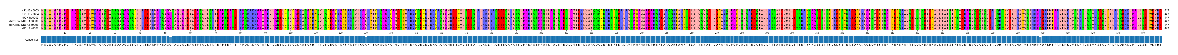 Multiple Alignments (by translate haplotype similarity)