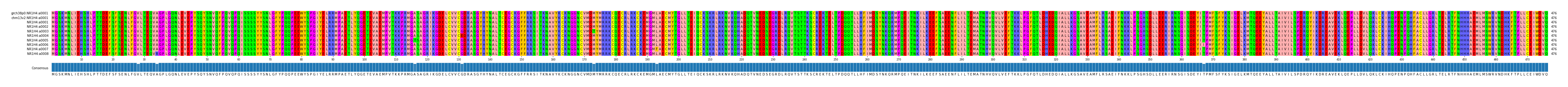 Multiple Alignments (by translate haplotype frequency)