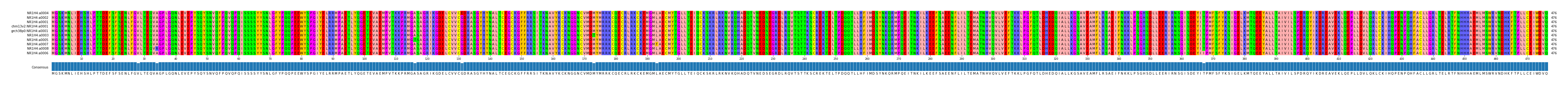 Multiple Alignments (by translate haplotype similarity)