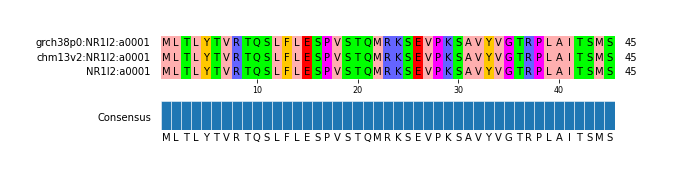 Multiple Alignments (by translate haplotype similarity)