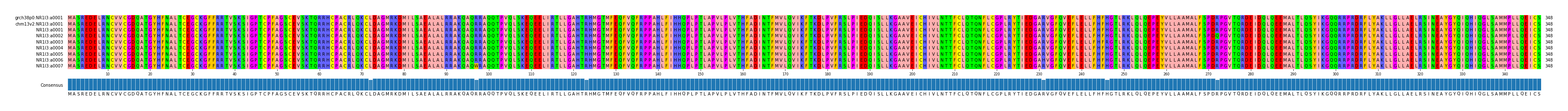 Multiple Alignments (by translate haplotype frequency)