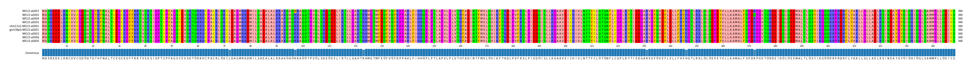 Multiple Alignments (by translate haplotype similarity)