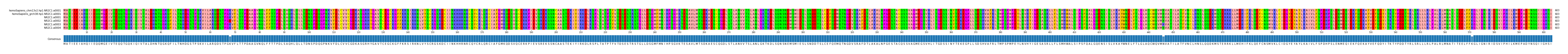Multiple Alignments (by translate haplotype frequency)