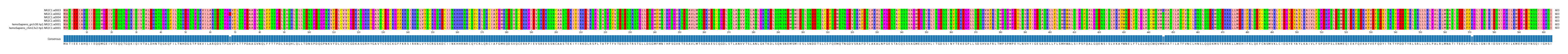 Multiple Alignments (by translate haplotype similarity)