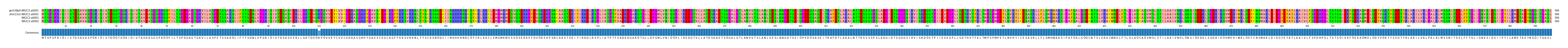 Multiple Alignments (by translate haplotype similarity)