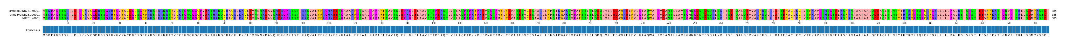 Multiple Alignments (by translate haplotype similarity)