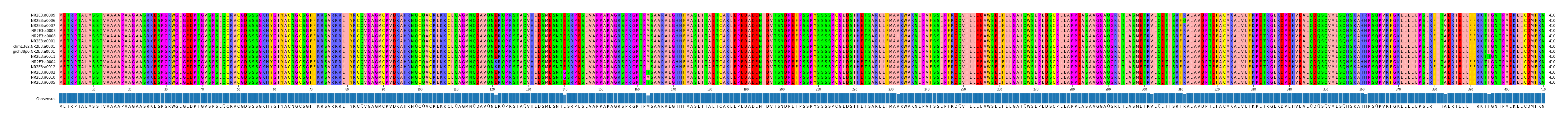 Multiple Alignments (by translate haplotype similarity)