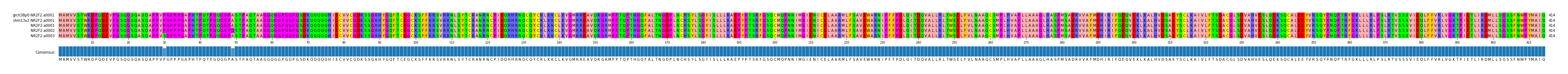 Multiple Alignments (by translate haplotype frequency)