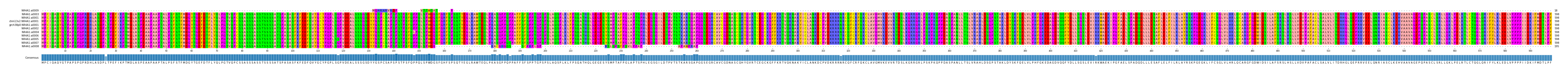Multiple Alignments (by translate haplotype similarity)