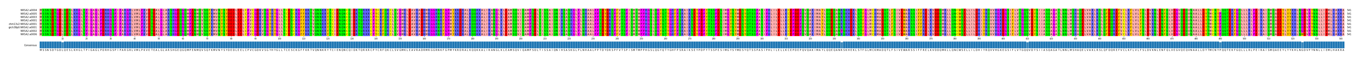 Multiple Alignments (by translate haplotype similarity)