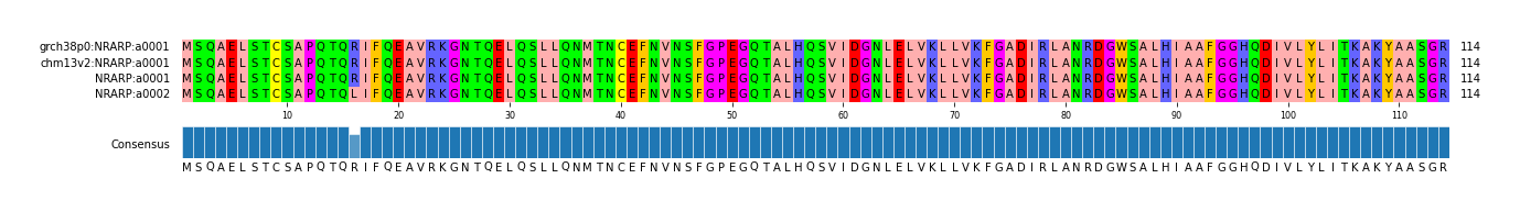 Multiple Alignments (by translate haplotype similarity)