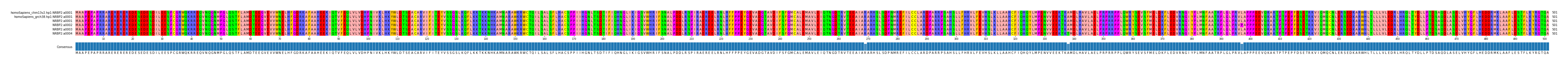 Multiple Alignments (by translate haplotype frequency)