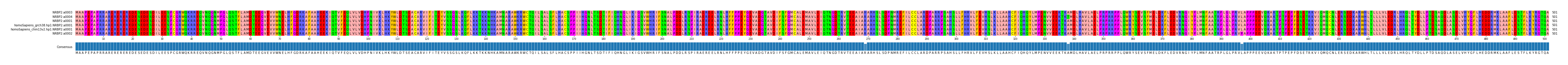 Multiple Alignments (by translate haplotype similarity)