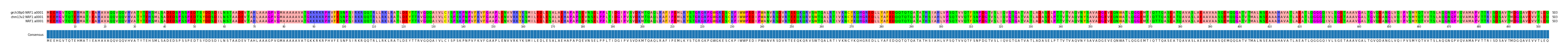 Multiple Alignments (by translate haplotype frequency)