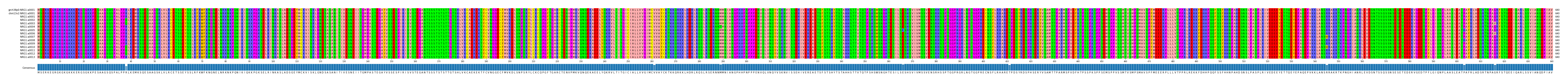 Multiple Alignments (by translate haplotype frequency)