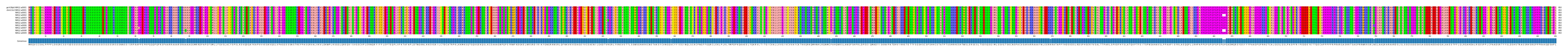 Multiple Alignments (by translate haplotype frequency)