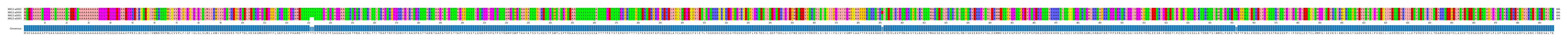 Multiple Alignments (by translate haplotype similarity)