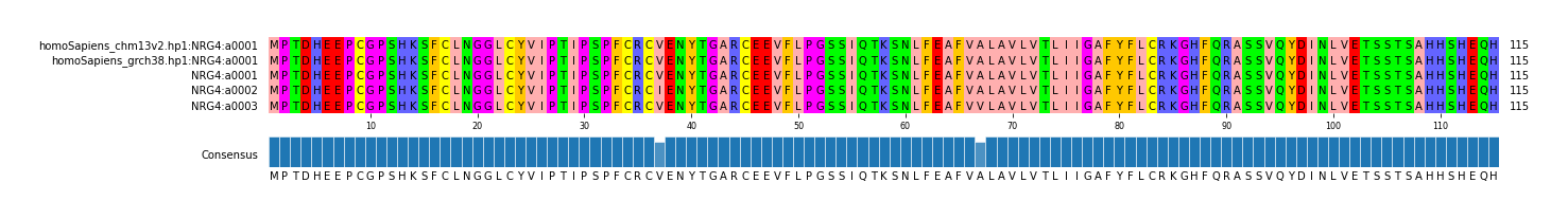 Multiple Alignments (by translate haplotype frequency)