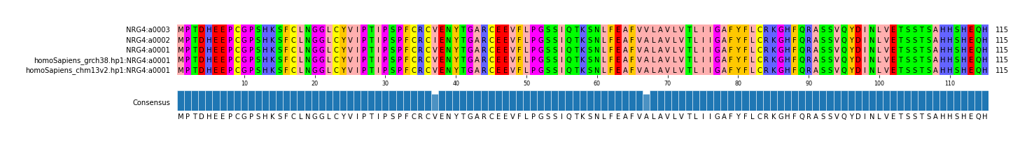 Multiple Alignments (by translate haplotype similarity)