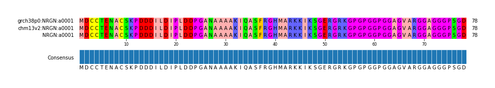 Multiple Alignments (by translate haplotype similarity)