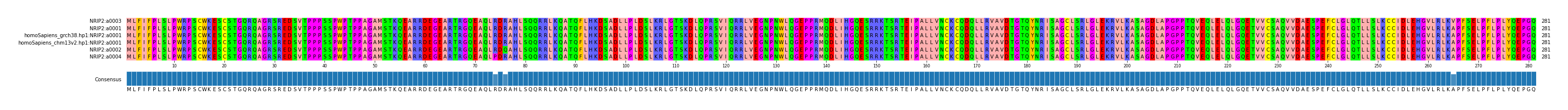 Multiple Alignments (by translate haplotype similarity)