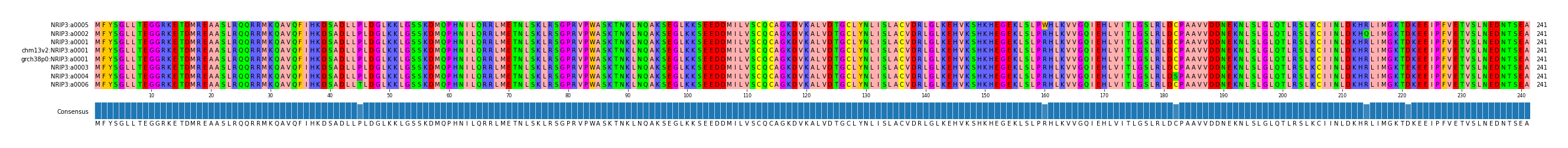 Multiple Alignments (by translate haplotype similarity)