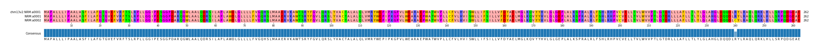 Multiple Alignments (by translate haplotype similarity)