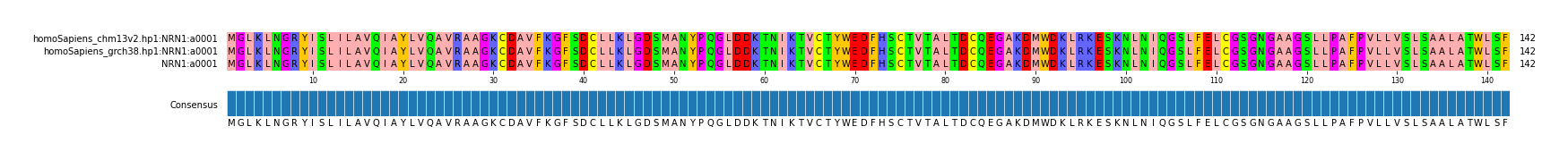 Multiple Alignments (by translate haplotype similarity)