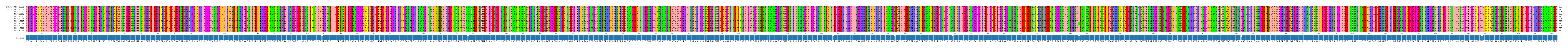 Multiple Alignments (by translate haplotype frequency)