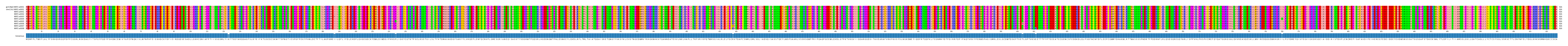 Multiple Alignments (by translate haplotype frequency)