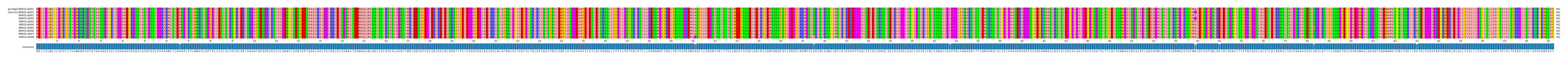 Multiple Alignments (by translate haplotype frequency)