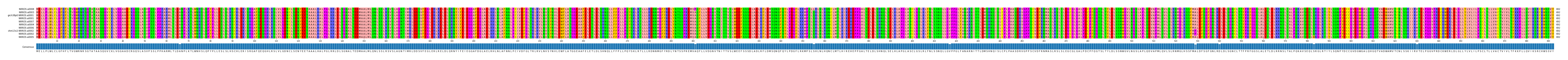 Multiple Alignments (by translate haplotype similarity)