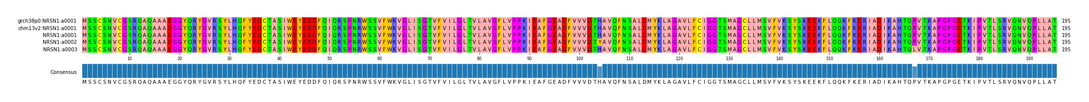 Multiple Alignments (by translate haplotype frequency)