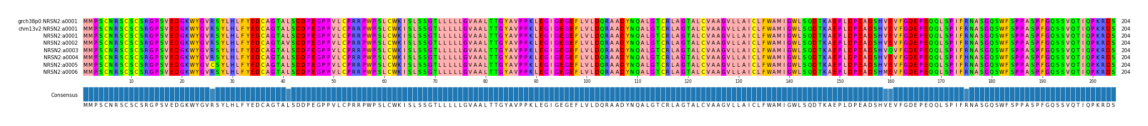 Multiple Alignments (by translate haplotype frequency)
