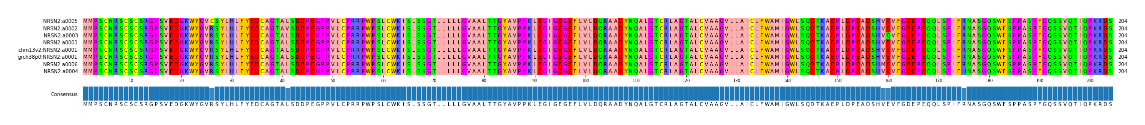 Multiple Alignments (by translate haplotype similarity)