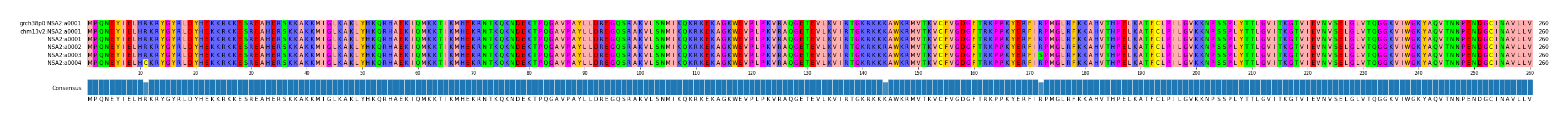 Multiple Alignments (by translate haplotype frequency)