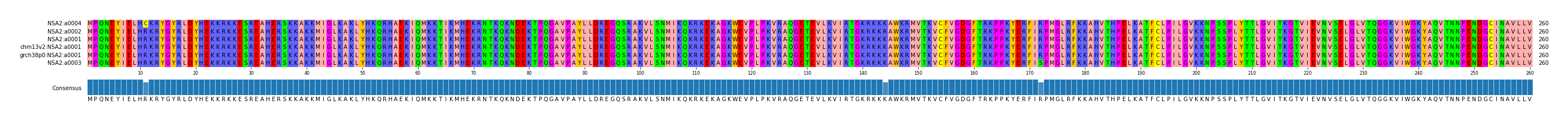 Multiple Alignments (by translate haplotype similarity)