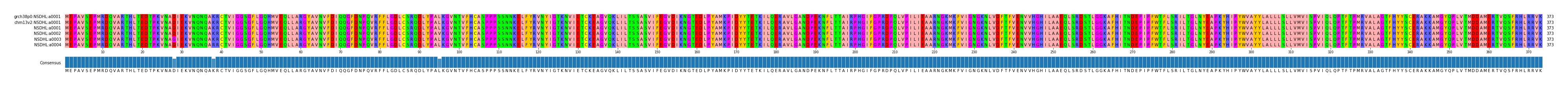 Multiple Alignments (by translate haplotype frequency)