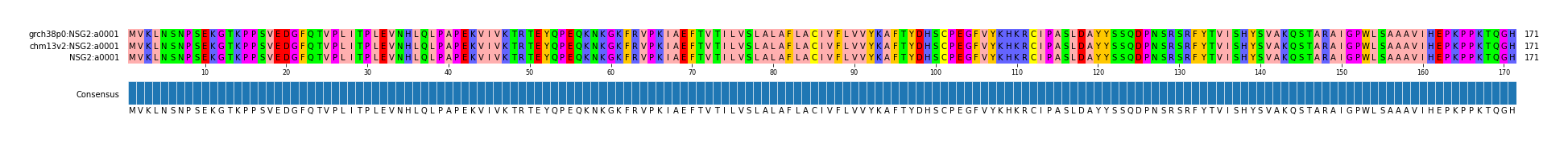 Multiple Alignments (by translate haplotype similarity)