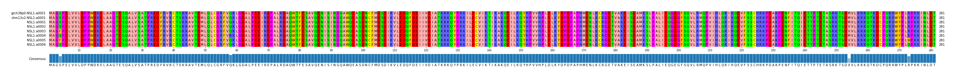 Multiple Alignments (by translate haplotype frequency)