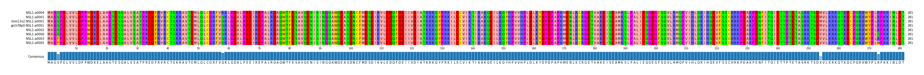 Multiple Alignments (by translate haplotype similarity)