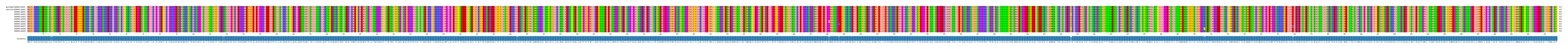 Multiple Alignments (by translate haplotype frequency)