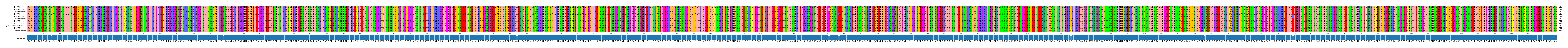 Multiple Alignments (by translate haplotype similarity)