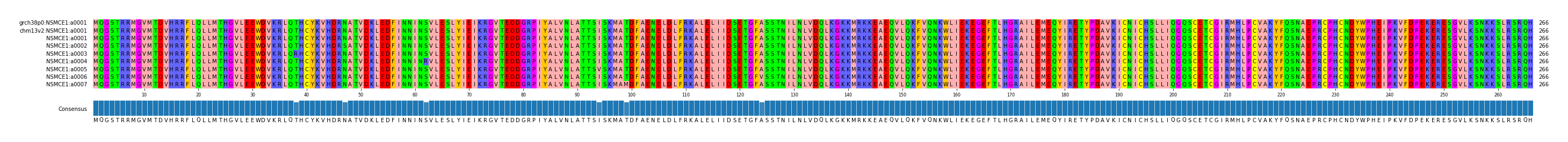 Multiple Alignments (by translate haplotype frequency)