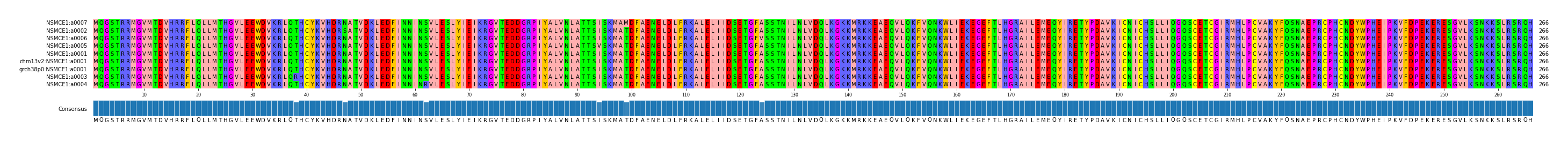Multiple Alignments (by translate haplotype similarity)