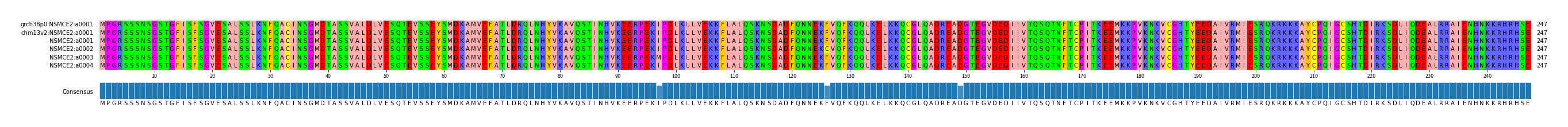 Multiple Alignments (by translate haplotype frequency)