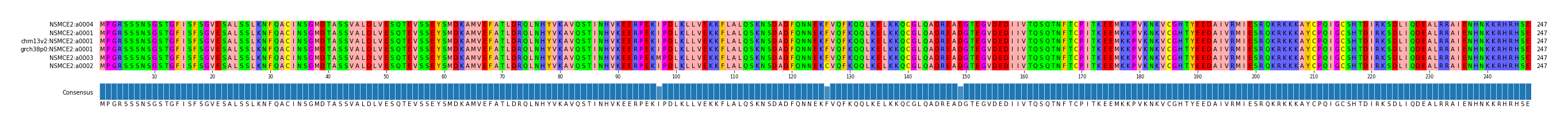 Multiple Alignments (by translate haplotype similarity)