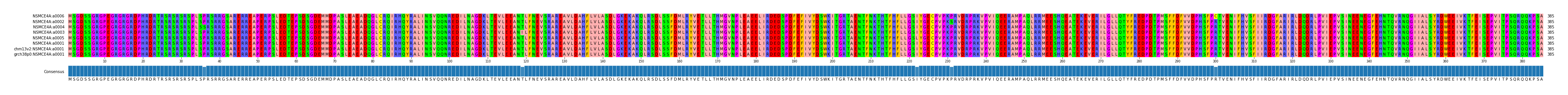 Multiple Alignments (by translate haplotype similarity)