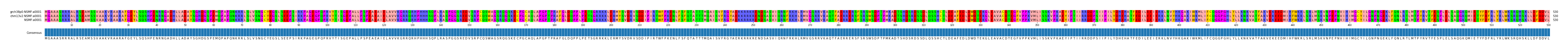 Multiple Alignments (by translate haplotype similarity)